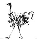 L’autruche I - 2005, encre de chine sur papier