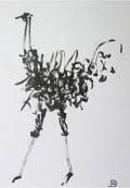 L’autruche II - 2005, encre de chine sur papier